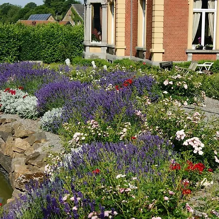 Chateau Neufays 4* ティユー