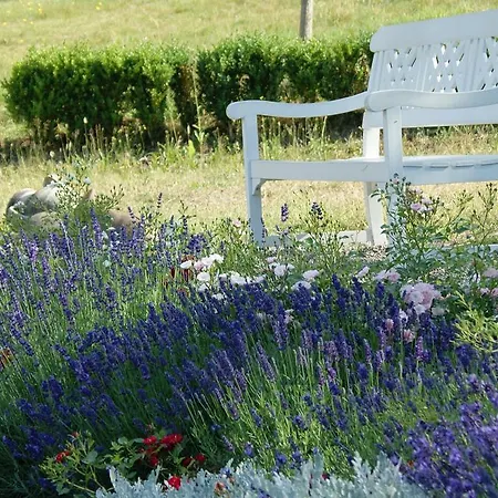 Chateau Neufays Πανσιόν 4*