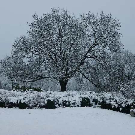 Chateau Neufays Πανσιόν 4*