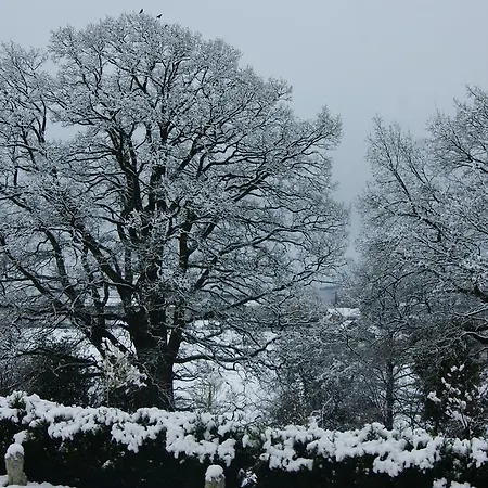 Chateau Neufays Theux