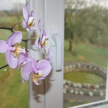 Chateau Neufays Πανσιόν 4*